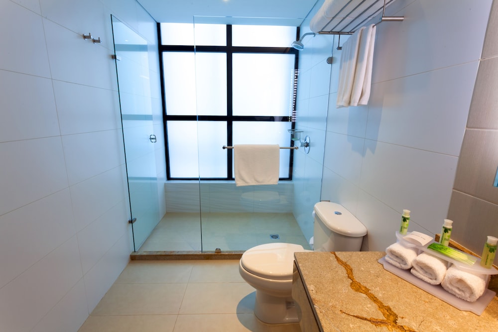 Holiday Inn Express Suites Bogota Dc Ex Zona Financiera 17/53