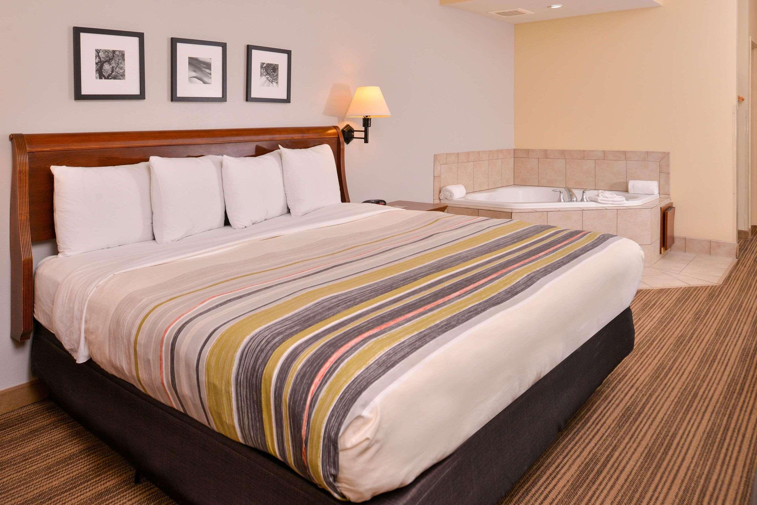 Suite, King Bed