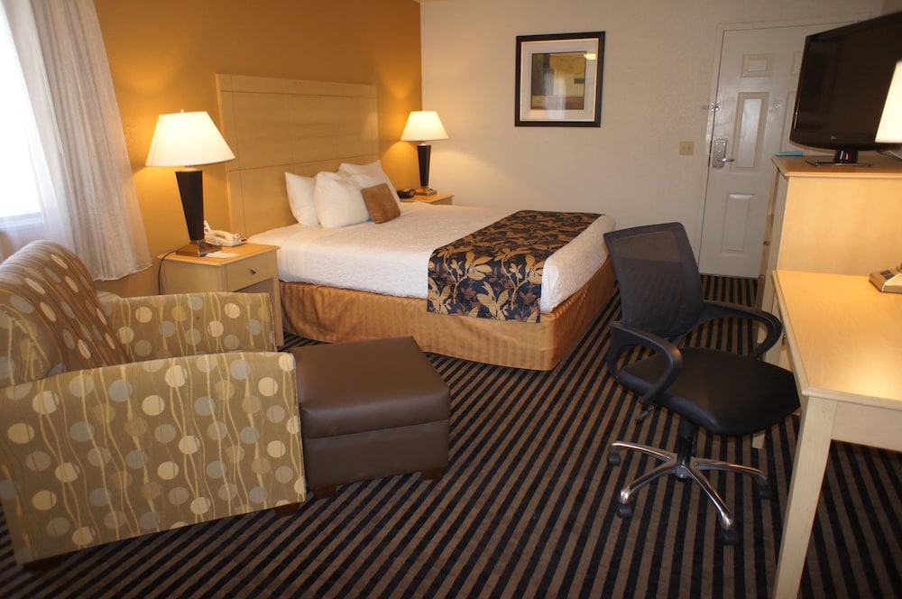 Best Western Plus Executive Inn & Suites 7/33