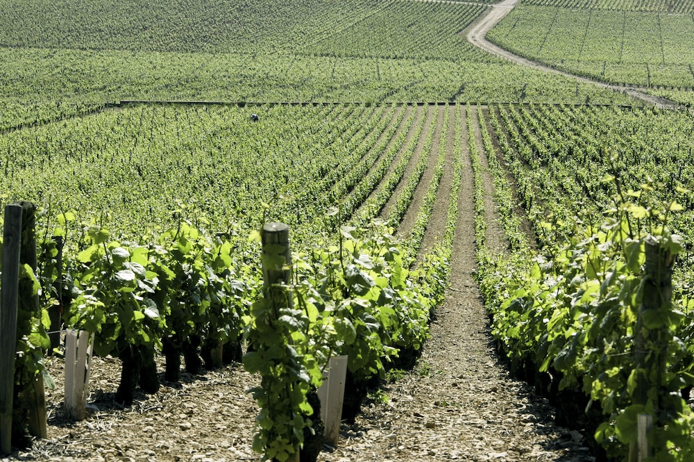 Ibis Budget Pouilly En Auxois 46/46