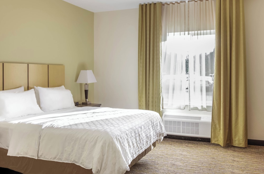 جناح بسرير كوين بغرفة نوم واحدة لذوي الإعاقة، Candlewood Suites Brighton 2/4