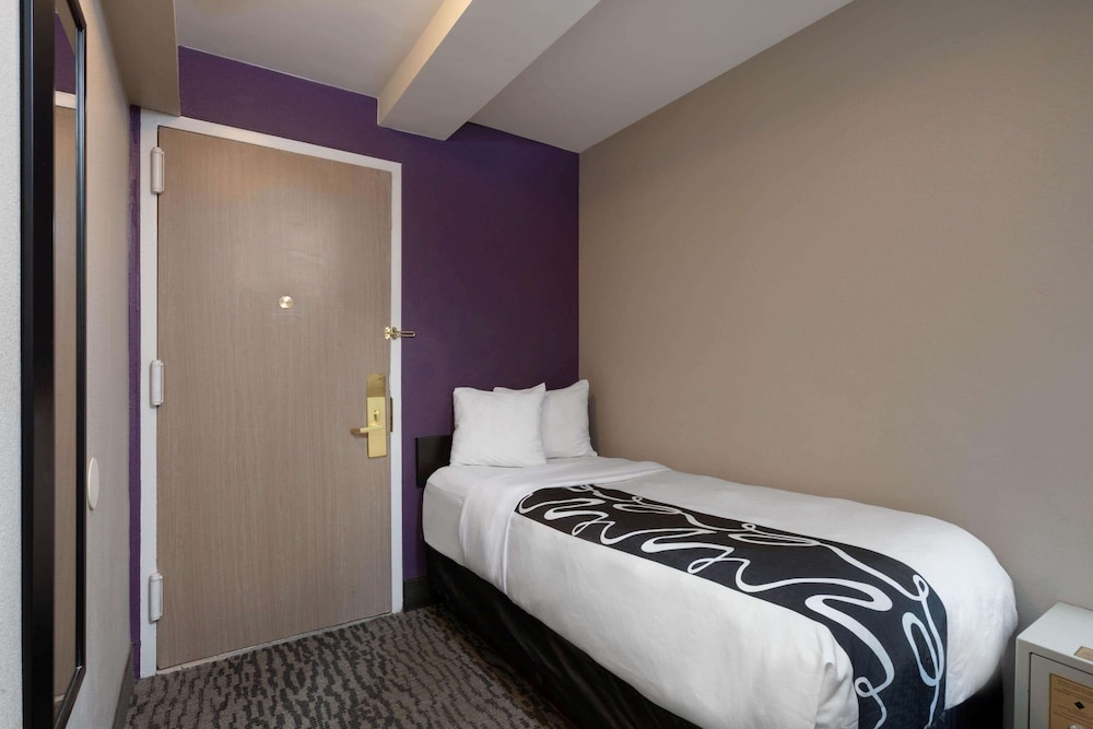 ROOM, MULTIPLE BEDS