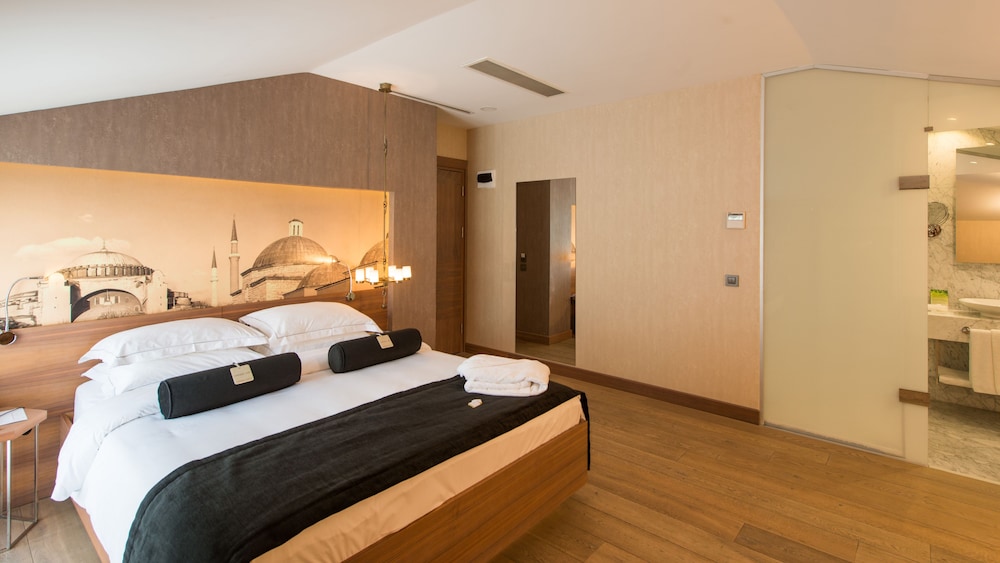 Hotel St. Sophia Istanbul 35/76
