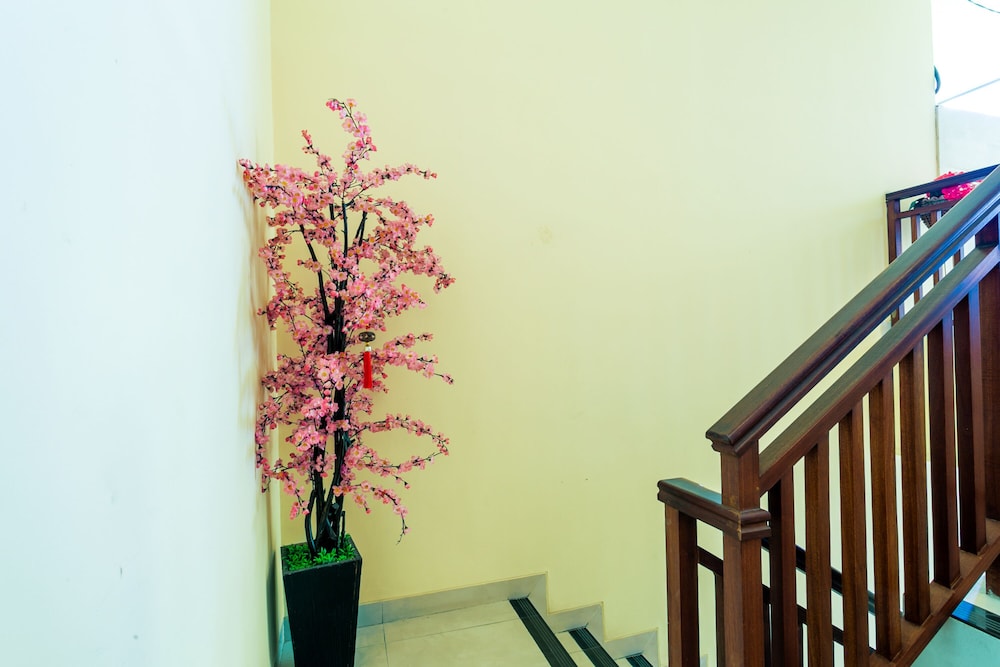 Sakura Guest House 22/50