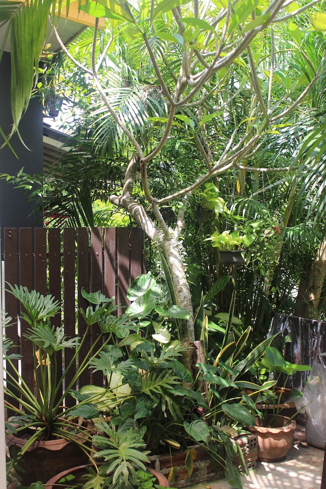 Krabi Nemo House 56/60