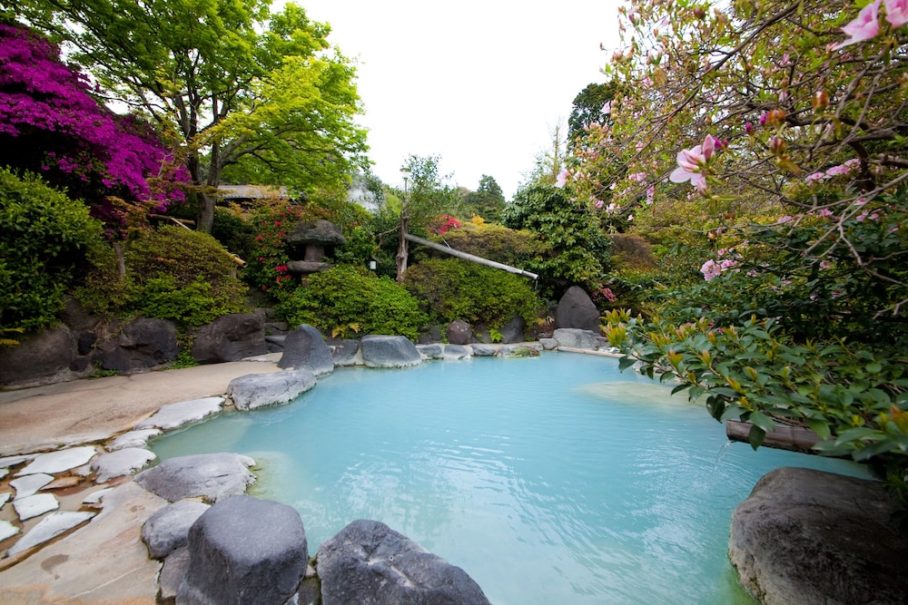 Okamotoya Ryokan 45/50