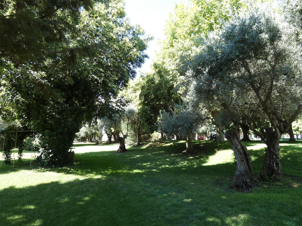 Los Olivos 53/57