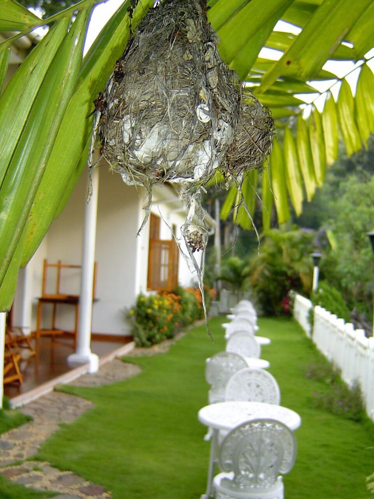 Water Garden Hotel 9/10
