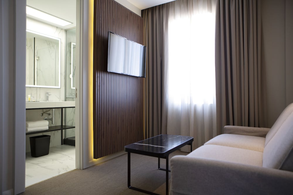 Hotel RIU Plaza Espana 33/69