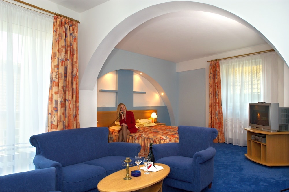 Hotel Ambient 50/64