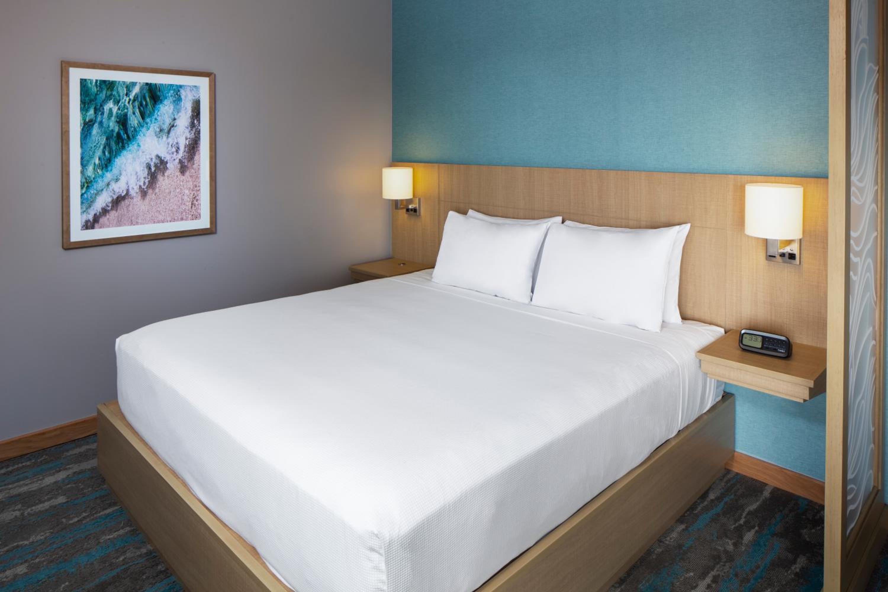Room, King Bed, with View, Sofa