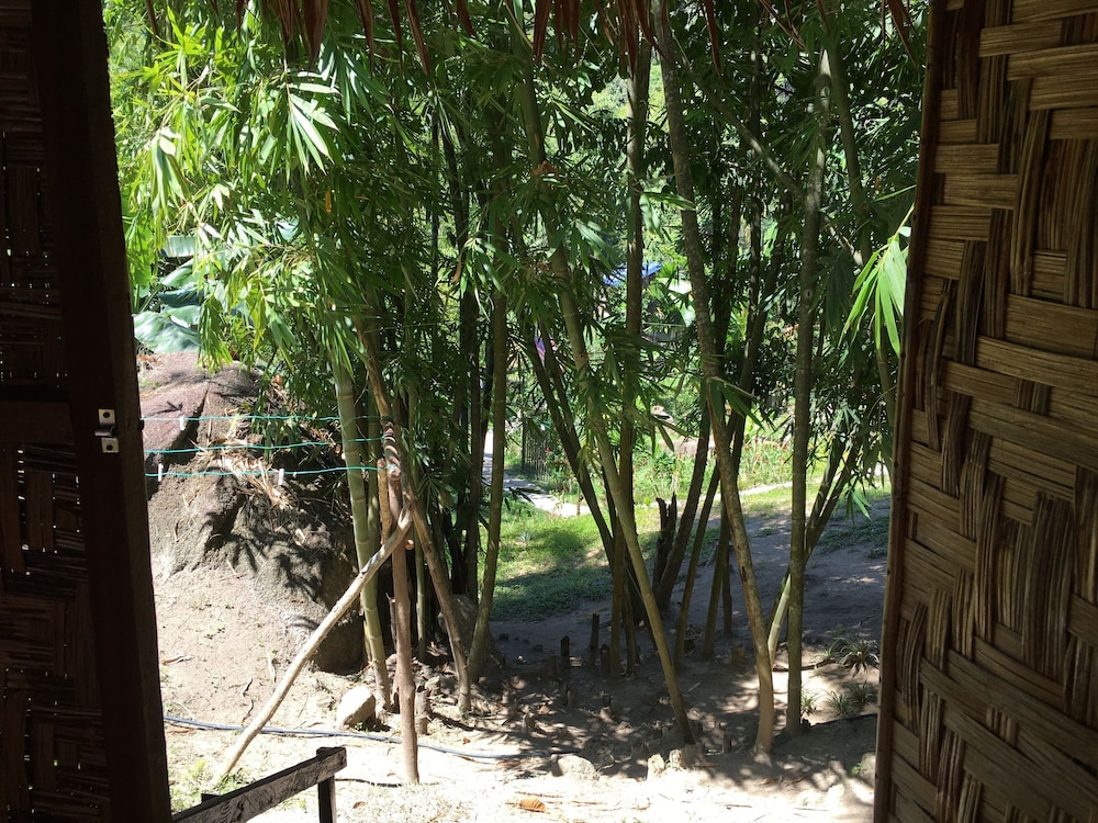 Rain Forest Inn 58/66