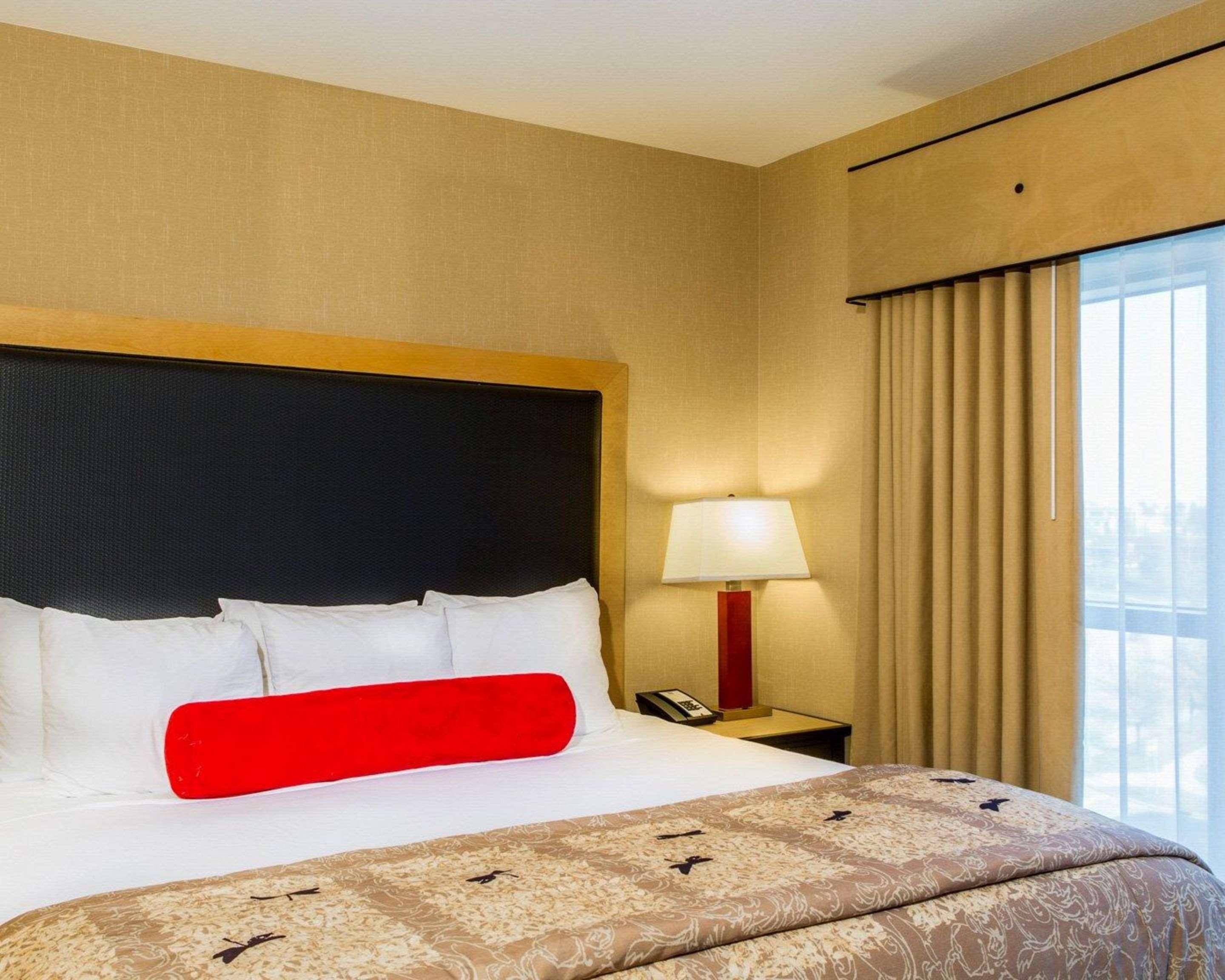 UPGRADE, SUITE, 2 KING BEDS