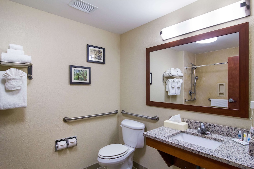 Comfort Inn Blackshear Hwy 84 17/25