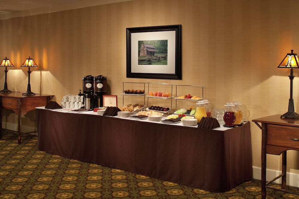 The Park Vista A Doubletree By Hilton Hotel Gatlinburg 22/39