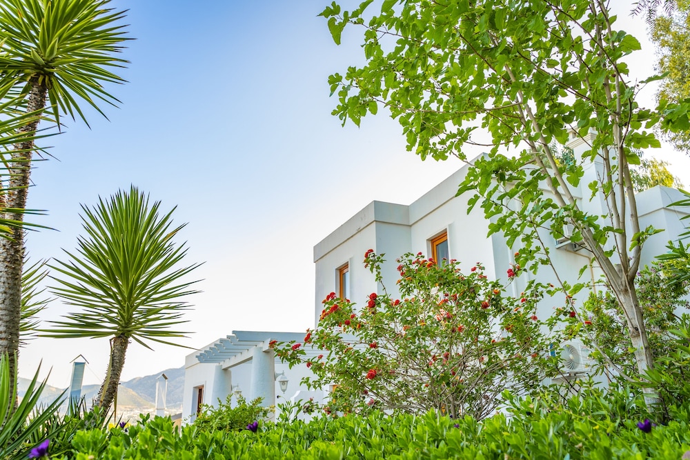 Riva Bodrum Resort - Adult Only +16 58/67