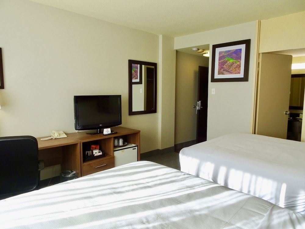 Quality Hotel Dorval Aeroport 13/59