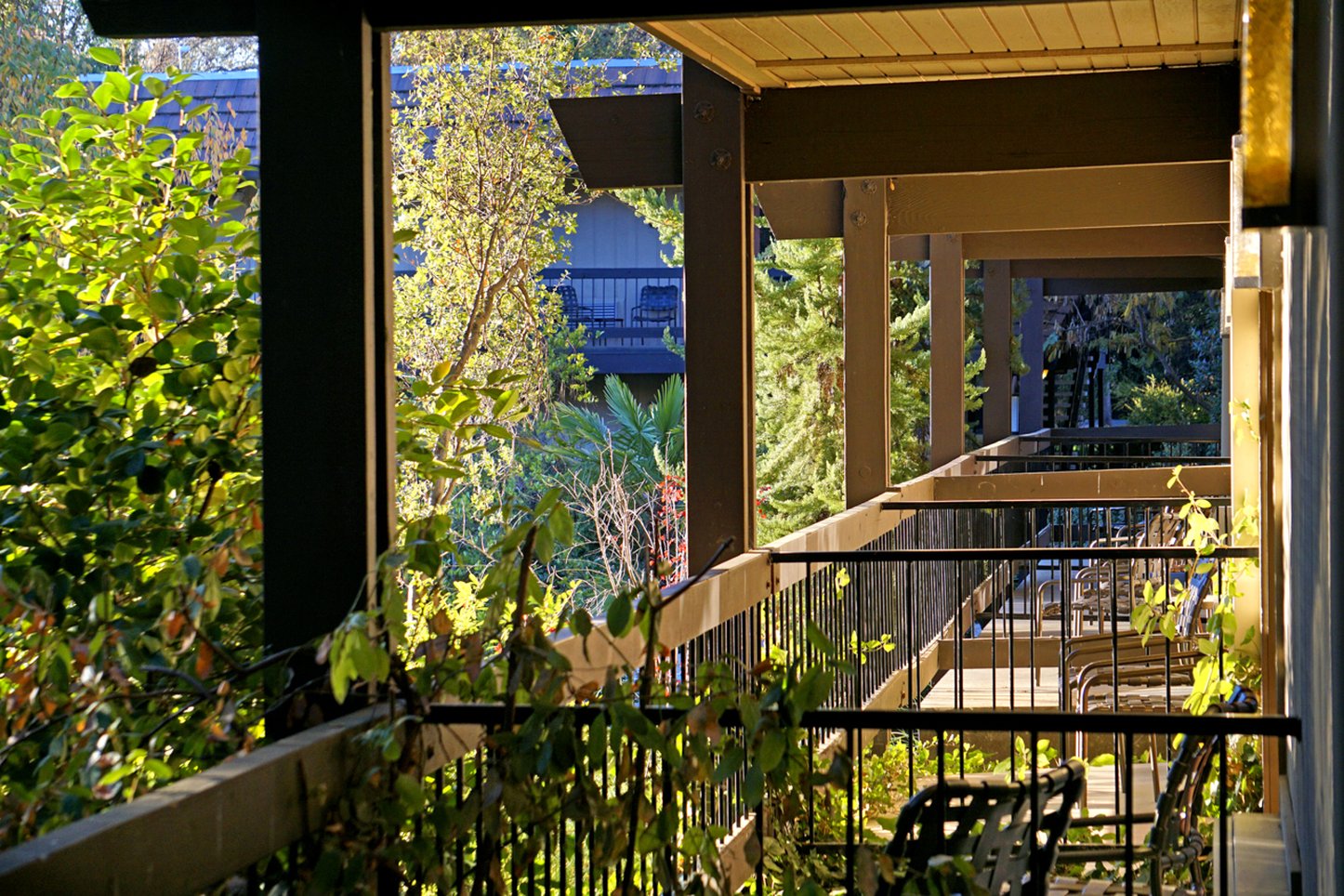 Best Western Plus Yosemite Gateway Inn 59/60