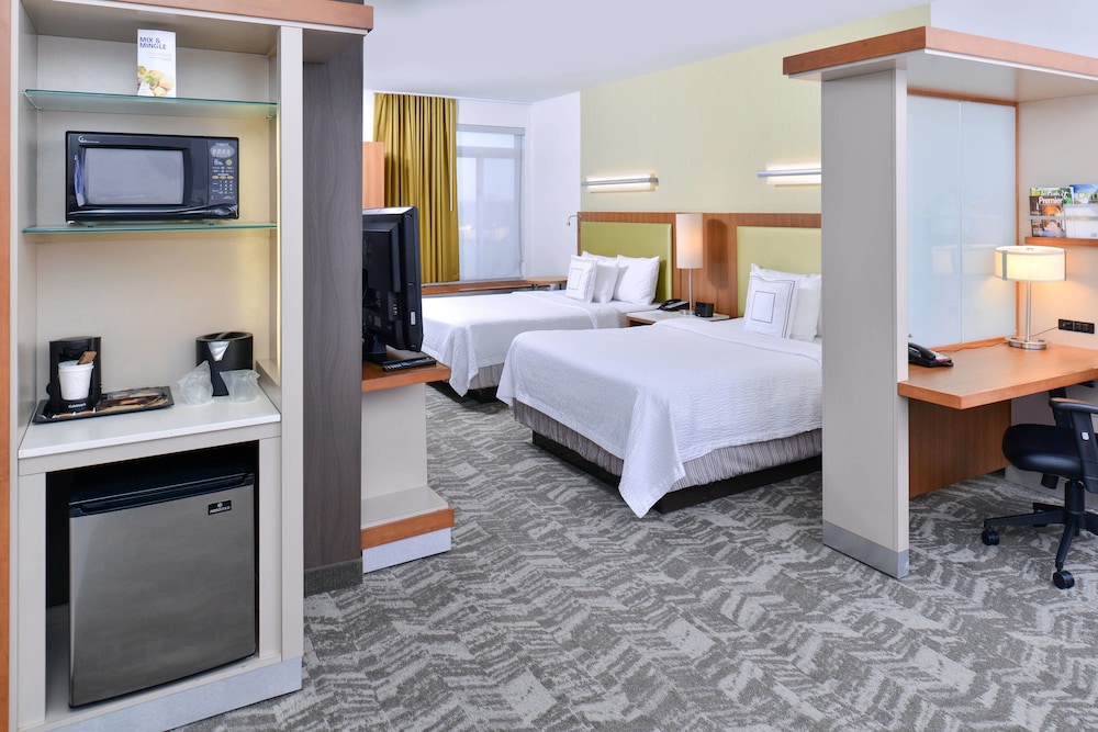 SpringHill Suites by Marriott Detroit Metro Airport Romulus 15/47