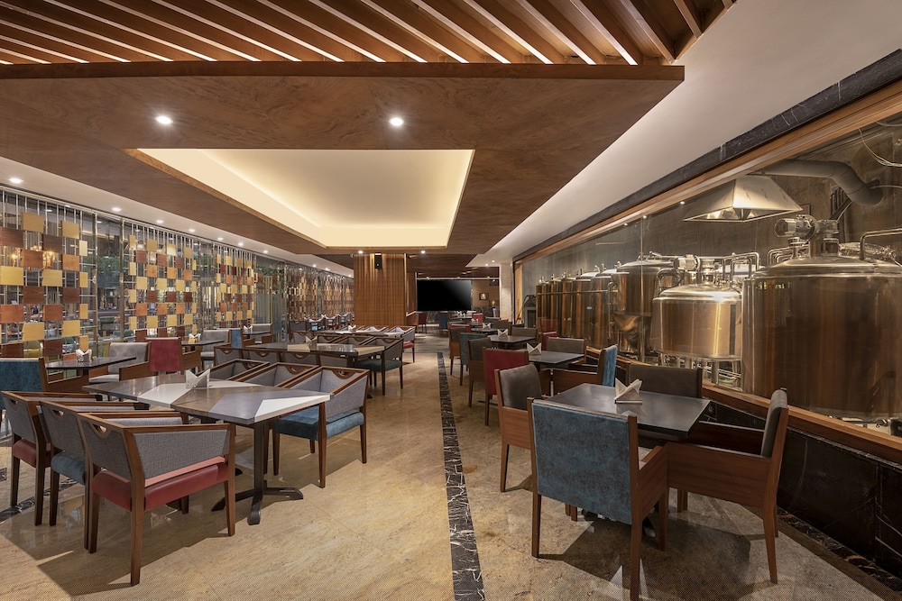 Radisson Blu Hotel Kaushambi Delhi Ncr 50/68