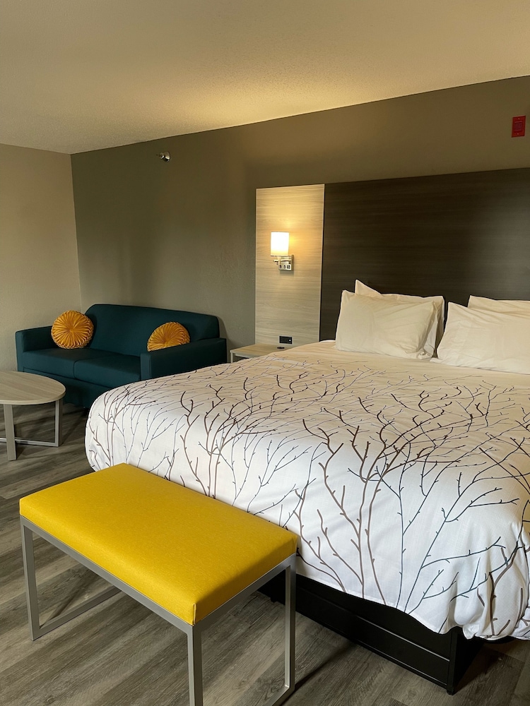 Premier, Suite, King Bed, Sofa, Jetted Pool