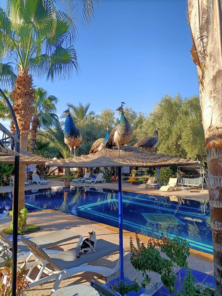 Le Relais De Marrakech 67/70