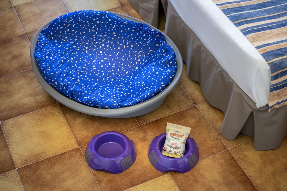 GHT Neptuno Venus & Spa 47/69