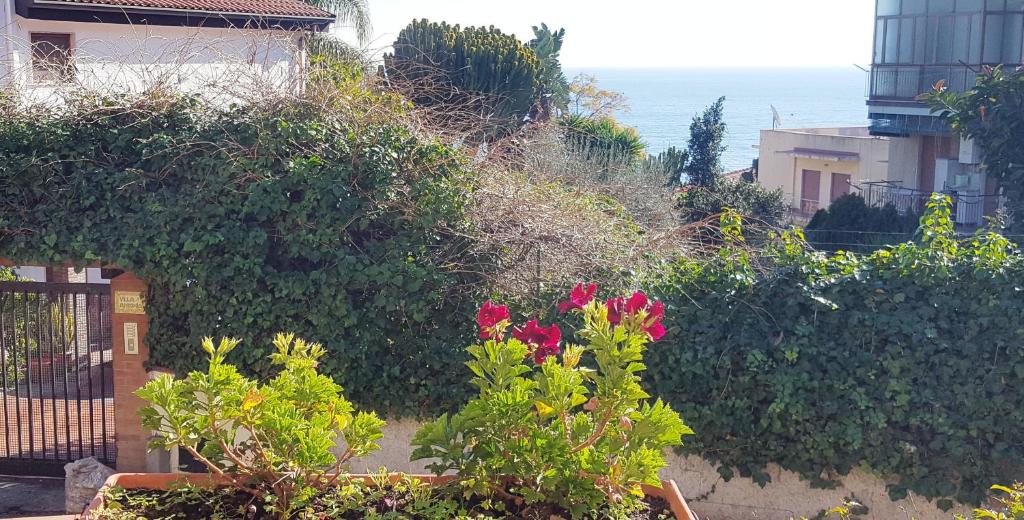B&B STELLA MARINA 15/22