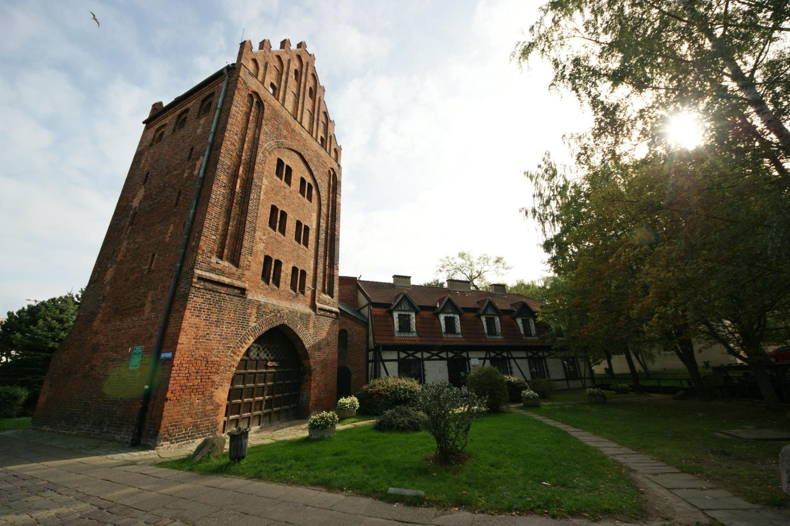 Zamkowy 42/50