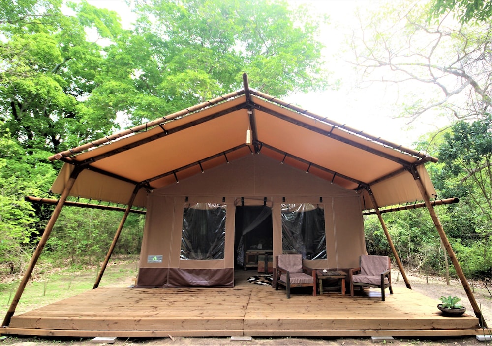 Africa Safari Camp 1/50