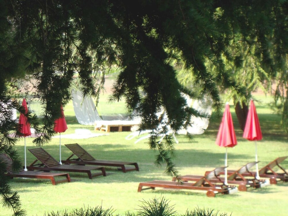 San Camilo 7/31