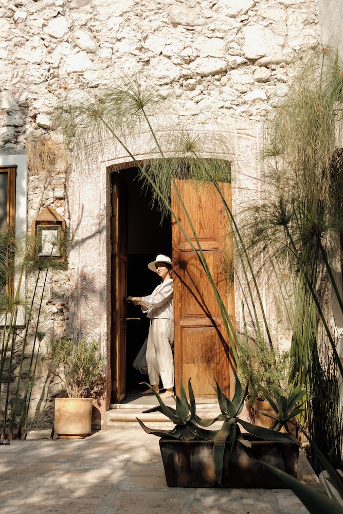 Orchid House San Miguel de Allende 25/50