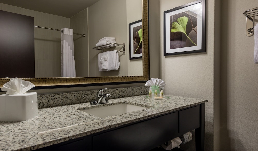 Holiday Inn Austin Airport 21/58