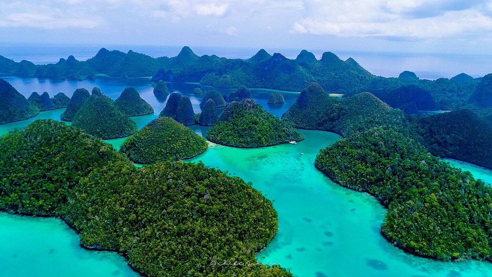 HamuEco Dive Resort Raja Ampat 26/45