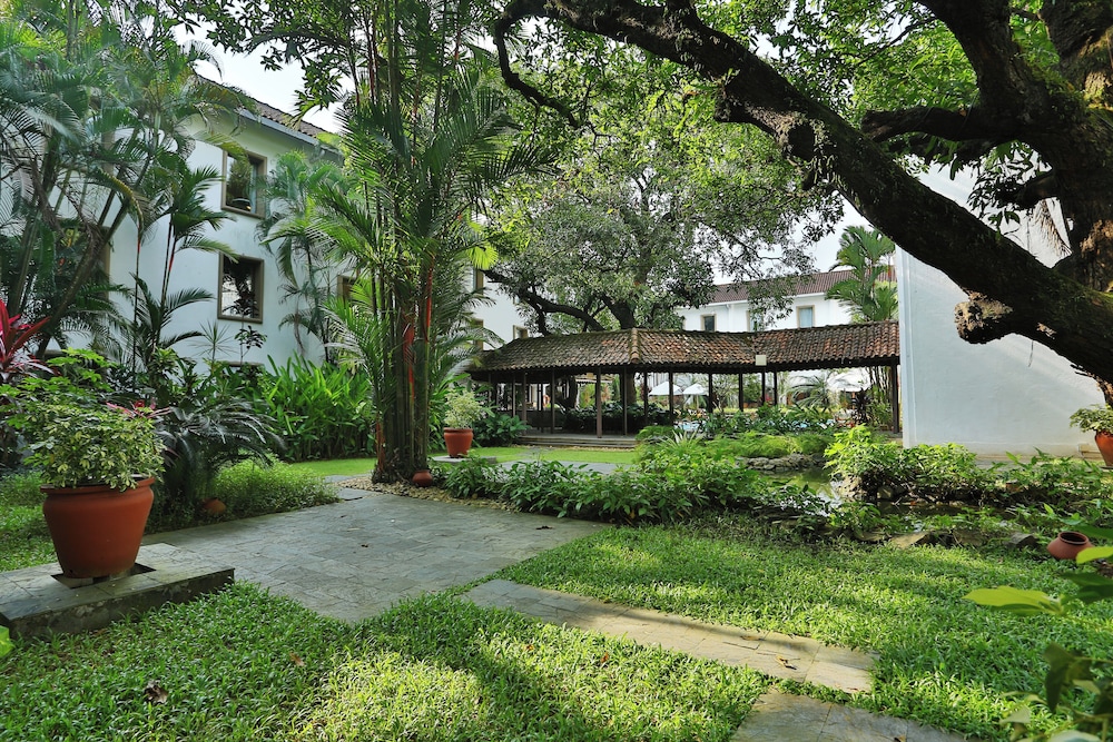 The Fern Kochi, Series by Marriott 51/61