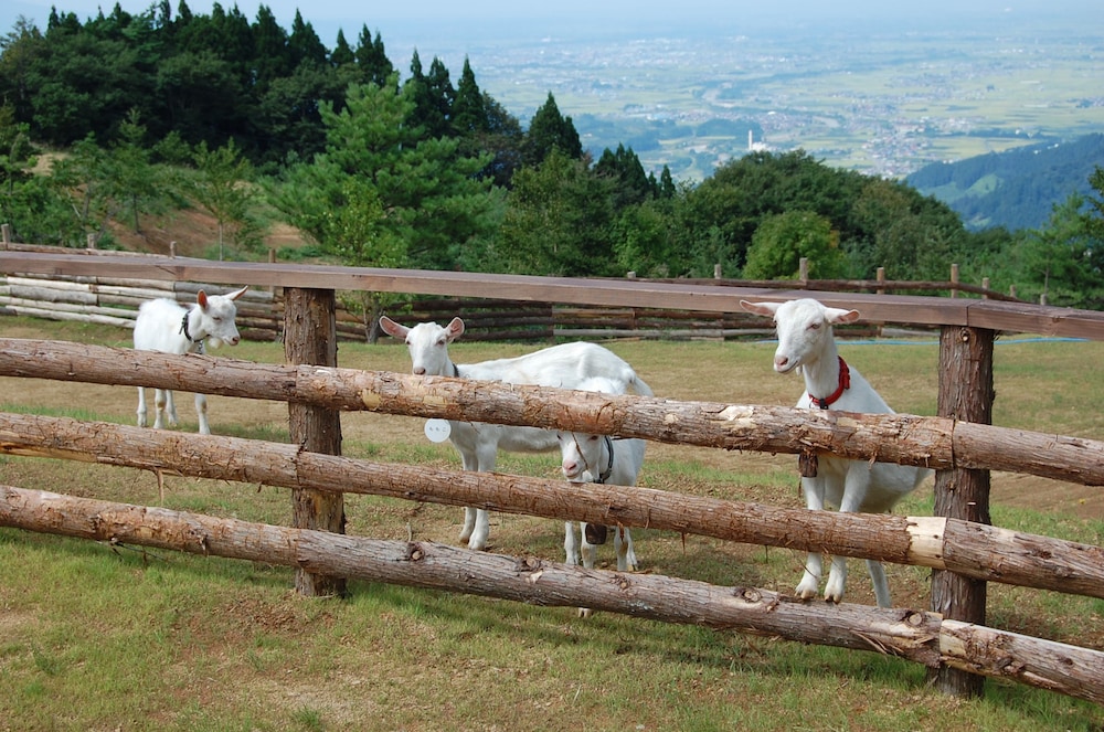 Aomori Winery Hotel 42/48