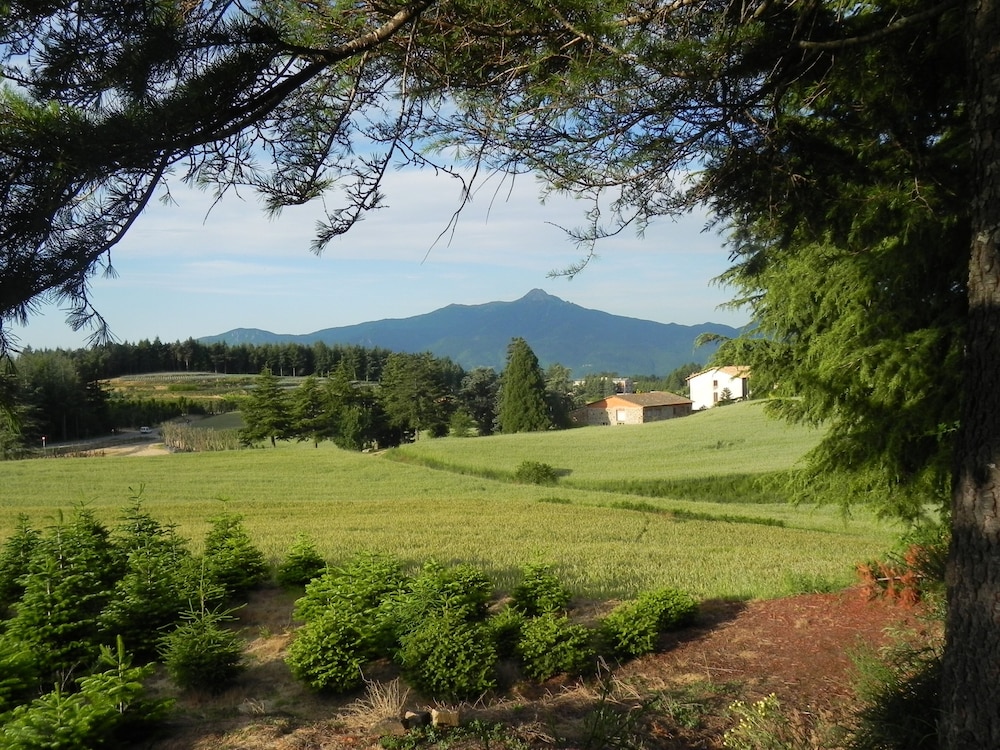 Ripoll 25/31