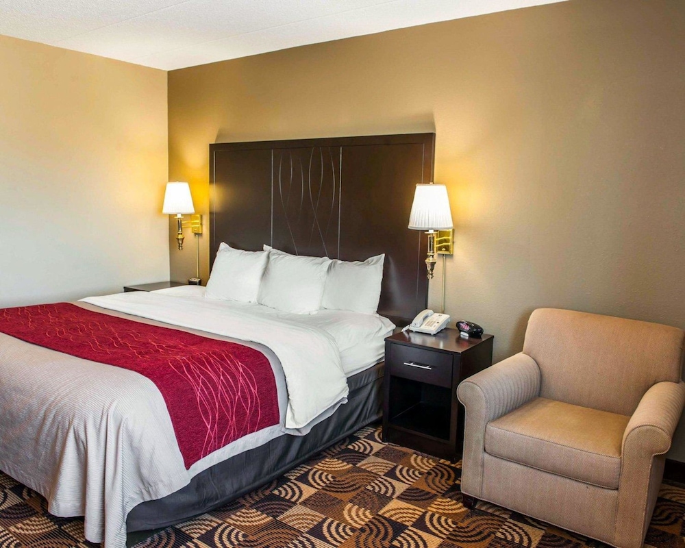 Comfort Inn & Suites Indianapolis Northwest - College Park 18/39