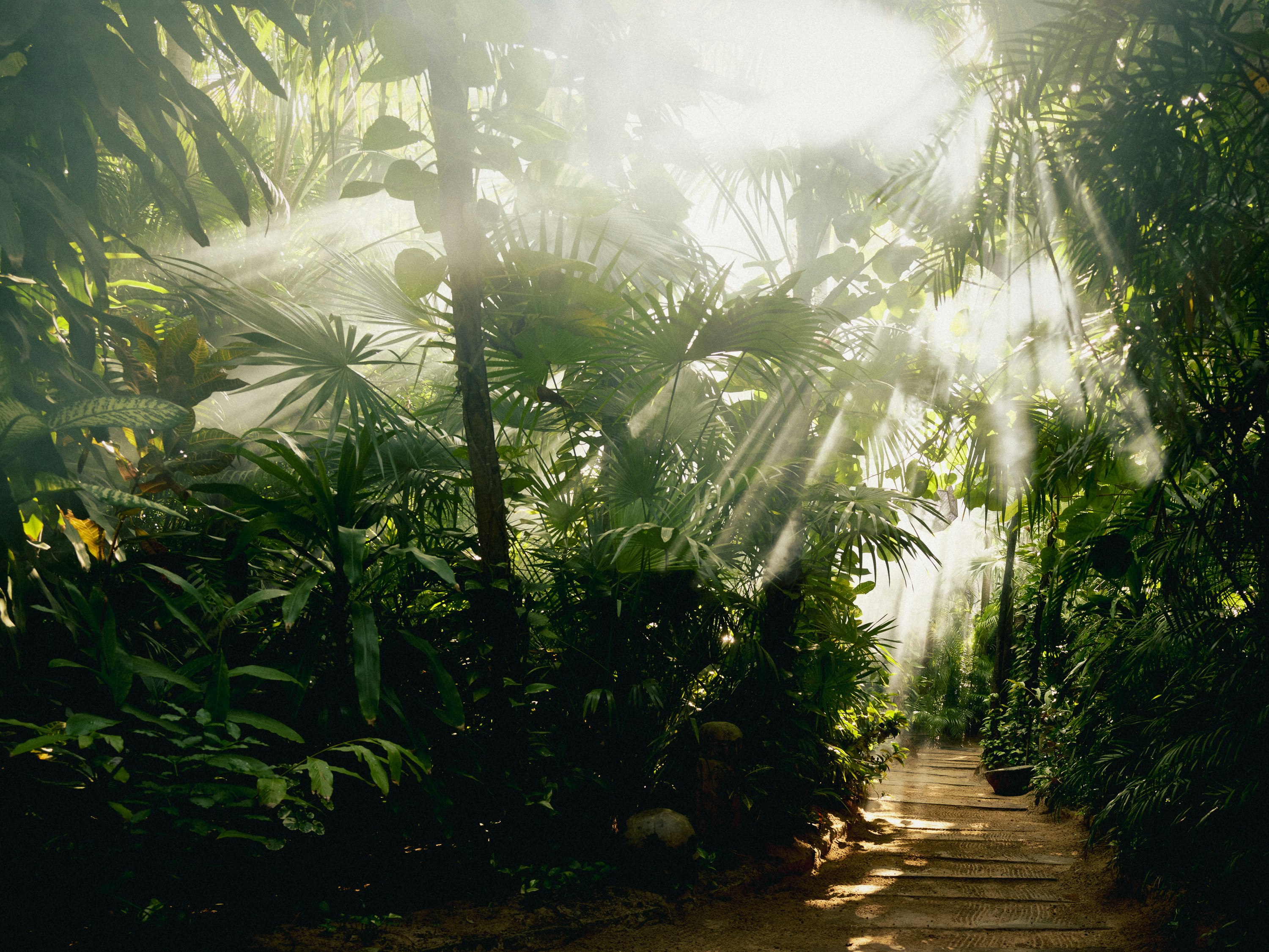 Be Tulum Beach Spa Resort 42/50