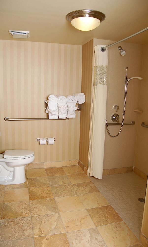 Hampton Inn & Suites Mobile Providence Park/Airport 25/56