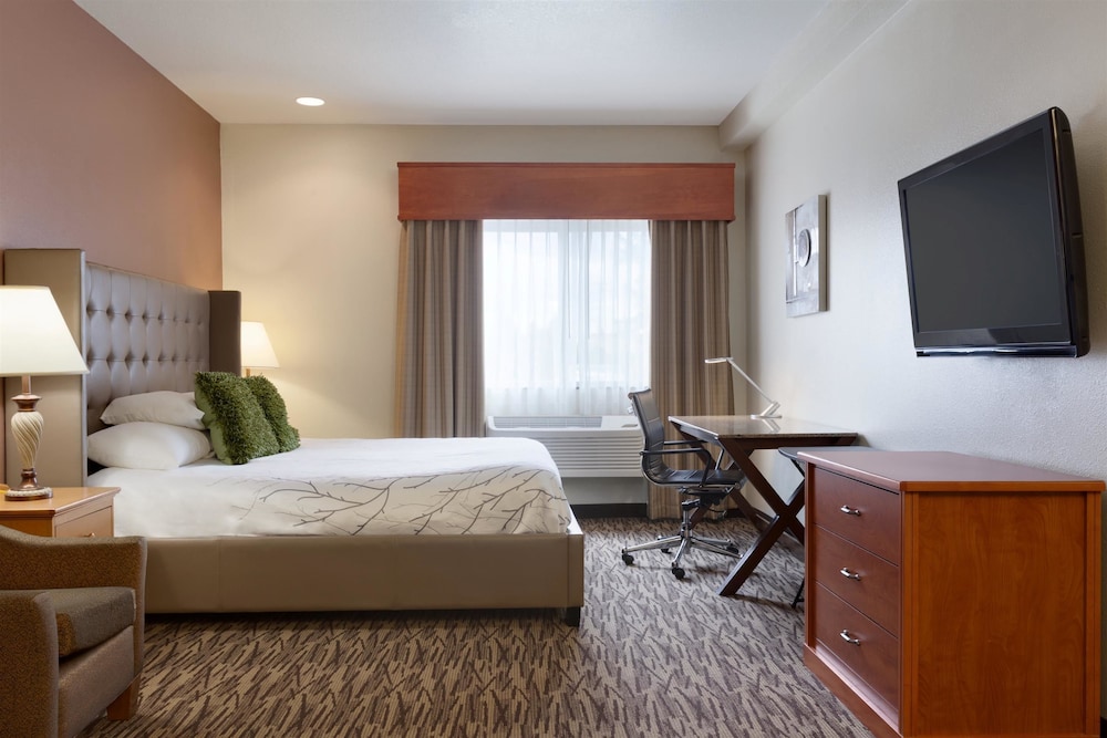 Best Western Plus Peppertree Airport Inn 27/57