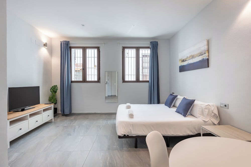 APARTAMENTOS 3000 REALEJO GRANADA CENTRO 15/40