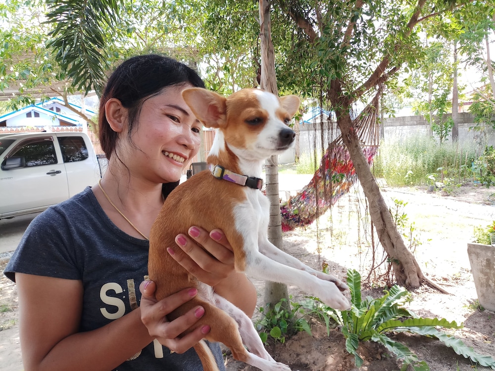 Penny's Home Stay Resort 42/50