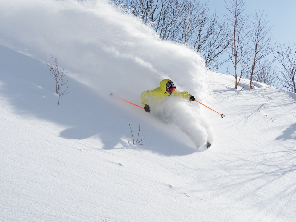 Park Hyatt Niseko Hanazono 47/49