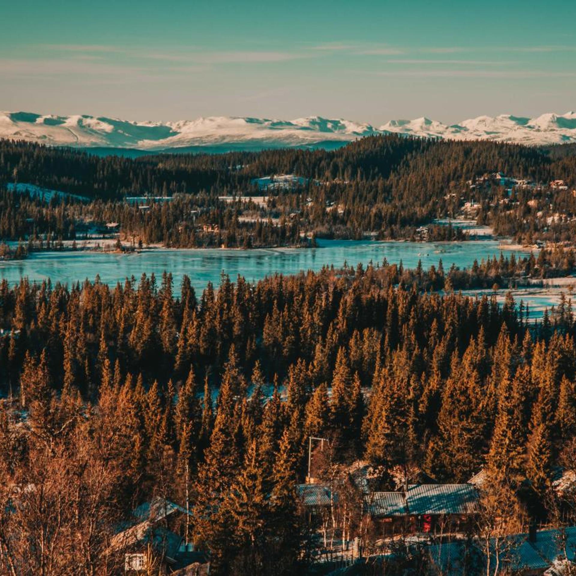 Danebu Kongsgaard 45/56