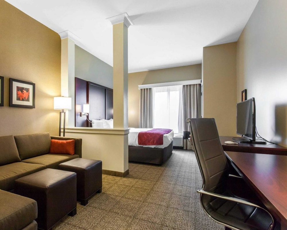 Comfort Suites Youngstown North 21/37