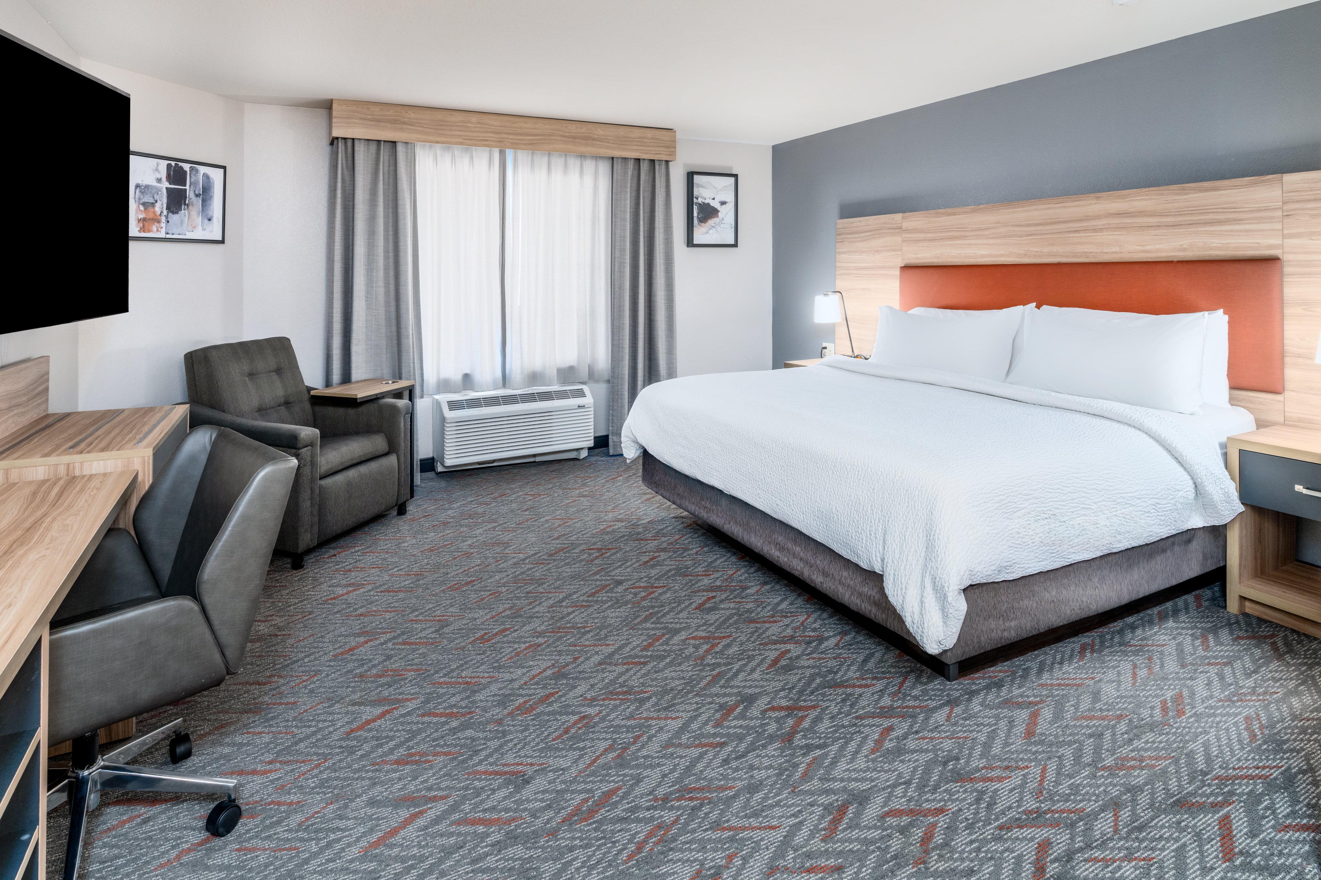 Studio, Suite, King Bed