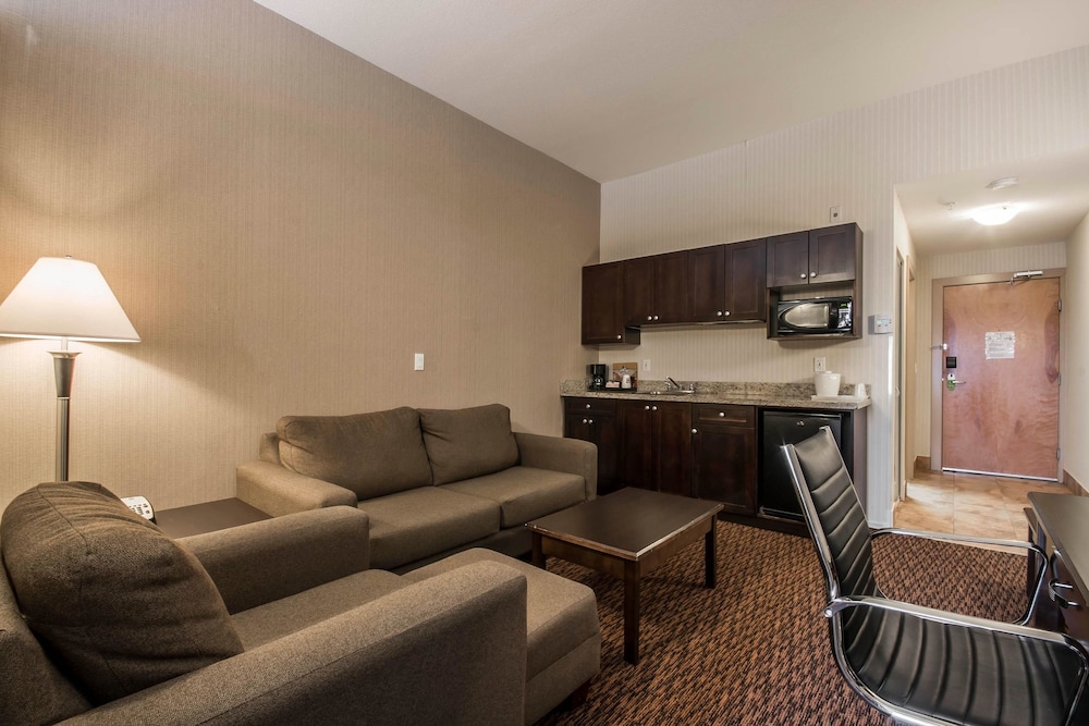 Comfort Inn & Suites Surrey 29/60