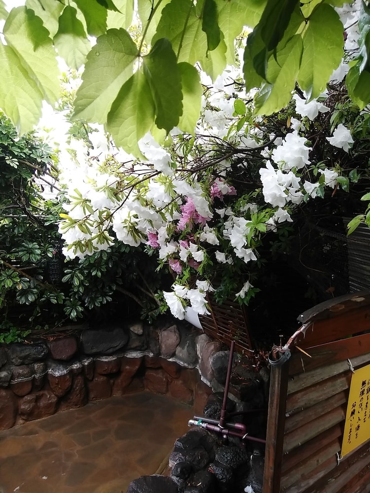 Yokoso Ryokan 29/31