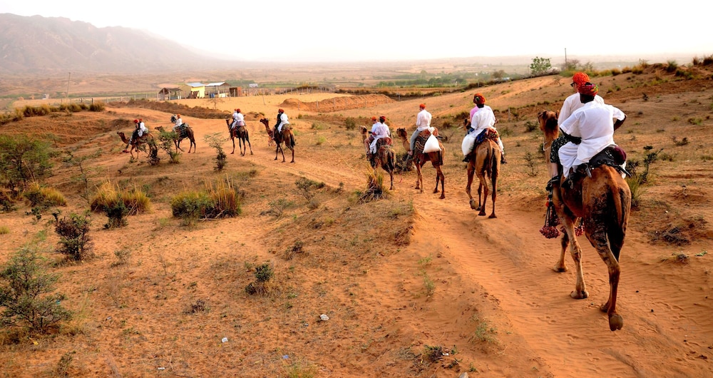 Pushkar Adventure Desert Camp 17/28